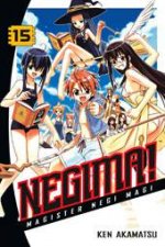 Negima Vol 15