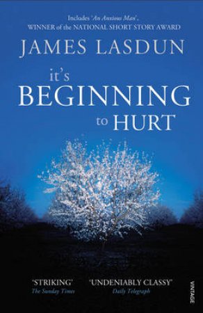 It's Beginning To Hurt by James Lasdun