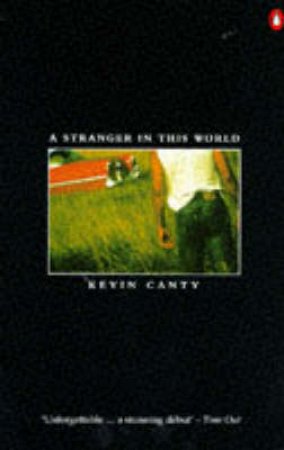 A Stranger In This World by Kevin Canty