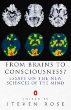 From Brains to Consciousness