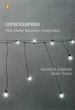 Consciousness How Matter Becomes Imagination