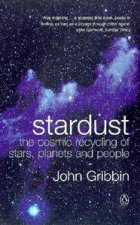 Stardust The Cosmic Recycling Of Stars Planets And People