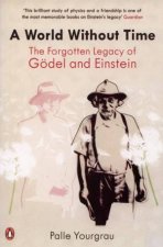 A World Without Time The Forgotten Legacy Of Godel And Einstein