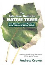 Life Size Guide To Native Trees  Other Common Plants Of New Zealand