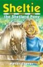 Sheltie The Shetland Pony