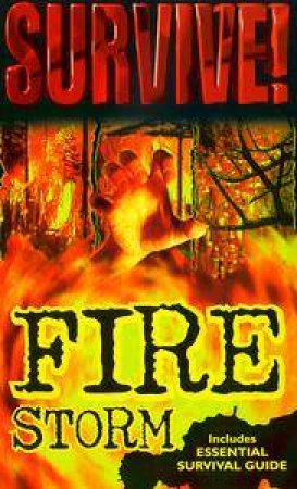 Fire Storm by Jack Dillon