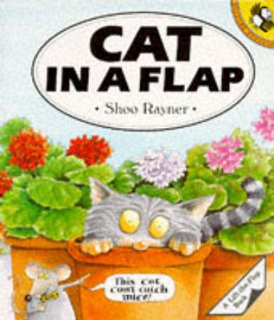 Cat In A Flap by Shoo Rayner
