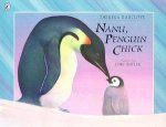 Nanu Penguin Chick