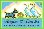Angus  The Ducks