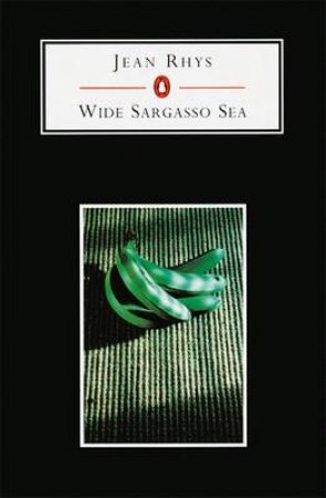 Penguin Student Edition: The Wide Sargasso Sea by Jean Rhys