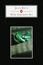 Penguin Student Edition The Wide Sargasso Sea