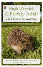 A Prickly Affair The Charm of the Hedgehog