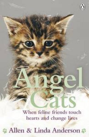 Angel Cats: When Feline Friends Touch Hearts and Change Lives by Allen & Linda Anderson