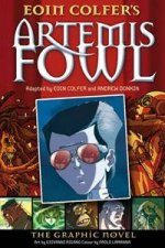 Artemis Fowl The Graphic Novel