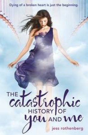 The Catastrophic History Of You And Me by Jessica Rothenberg