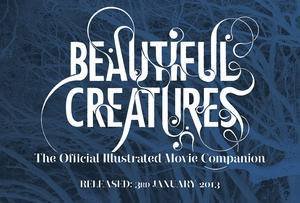 Beautiful Creatures The Official Illustrated Movie Companion by Mark Cotta Vaz