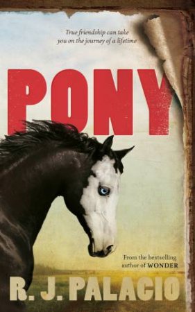 Pony by R J Palacio