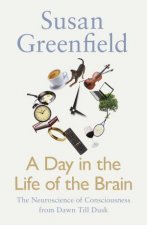 A Day In The Life Of The Brain The Neuroscience Of Consciousness From Dawn Till Dusk