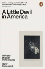 A Little Devil In America