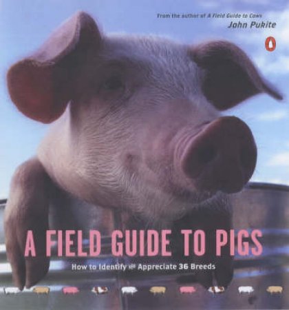 A Field Guide To Pigs by John Pukite