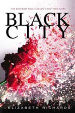 Black City Black City Book 1