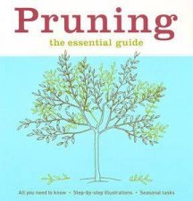 Pruning The Essential Guide