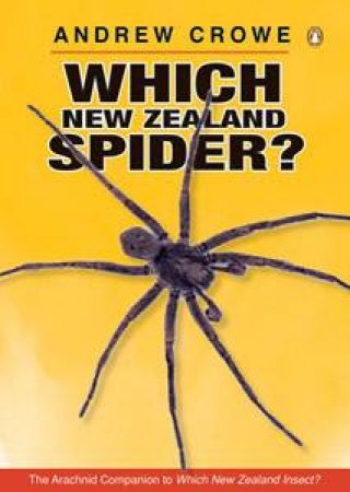 Which New Zealand Spider? by Andrew Crowe