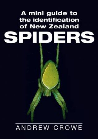 Mini Guide to the Identification of New Zealand Spiders by Andrew Crowe