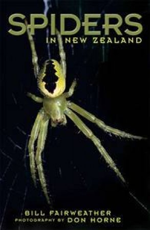 Spiders by Bill Fairweather