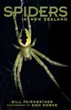 Spiders
