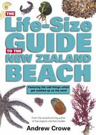 The Life-Size Guide To The New Zealand Beach