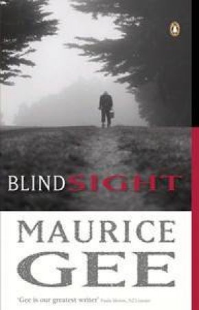 Blindsight by Maurice Gee