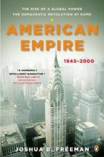 American Empire The Rise of a Global Power the Democratic Revolution  at Home 19452000