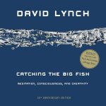 Catching The Big Fish Meditation Consciousness And Creativity 10th Anniversary Edition