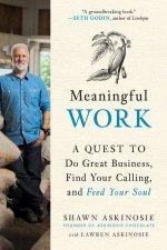 Meaningful Work A Quest To Do Great Business Find Your Calling And Feed Your Soul