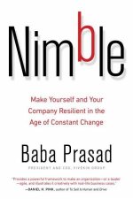 Nimble Make Yourself and Your Company Resilient in the Age of Constant Change