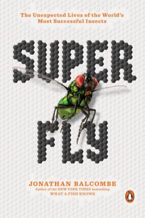 Super Fly by Jonathan Balcombe