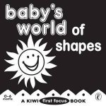 Babys World of Shapes
