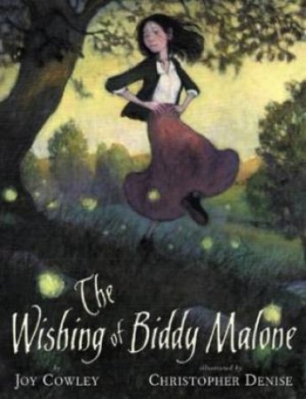 The Wishing Of Biddy Malone by Joy Cowley