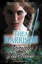 Rising Darkness A Game Of Shadows Novel Book One