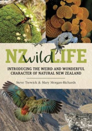 NZ Wild Life: Introducing the Weird and Wonderful Character of New Zealand by Steve Trewick & Mary Morgan-Richards