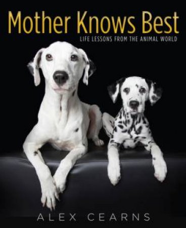 Mother Knows Best: Life lessons from the animal world by Alex Cearns