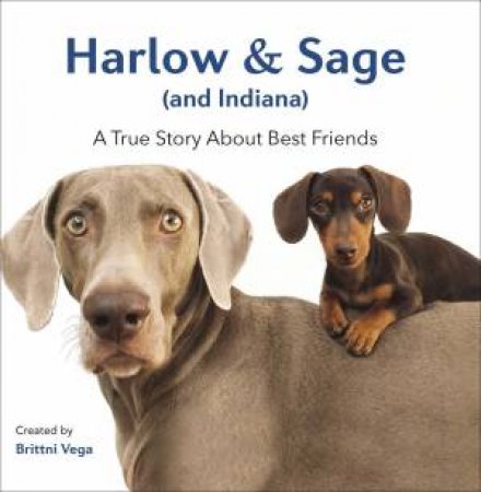 Harlow & Sage (and Indiana): A True Story About Best Friends by Brittni Vega