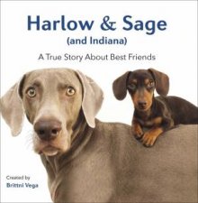 Harlow  Sage and Indiana A True Story About Best Friends
