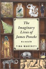 The Imaginary Lives Of James Poneke