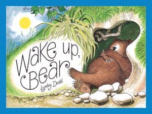 Wake Up, Bear by Lynley Dodd