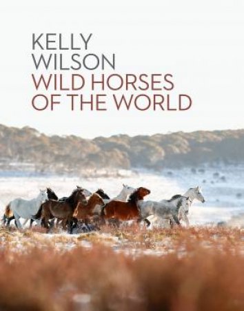 Wild Horses Of The World by Kelly Wilson