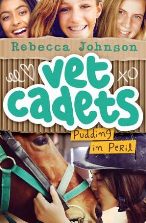 Pudding in Peril by Rebecca Johnson