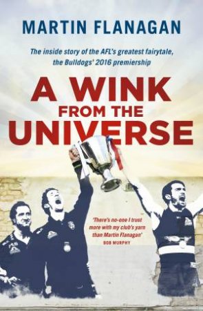 A Wink From The Universe by Martin Flanagan