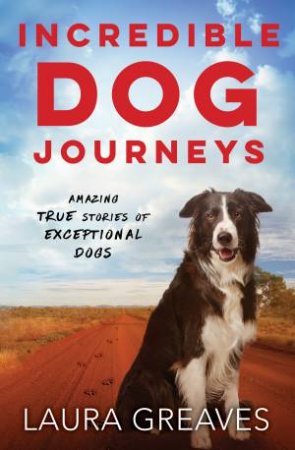 Incredible Dog Journeys: Amazing True Stories Of Exceptional Dogs by Laura Greaves